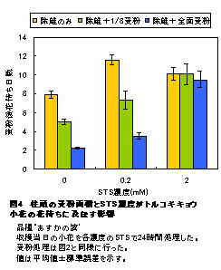 図4 柱頭の受粉面積とSTS濃度がトルコギキョウ小花の花持ちに及ぼす影響