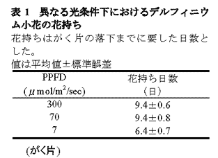 表1 異なる光条件下におけるデルフィニウム小花の花持ち