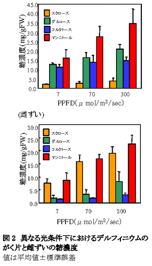 図2 異なる光条件下におけるデルフィニウムのがく片と雌ずいの糖濃度