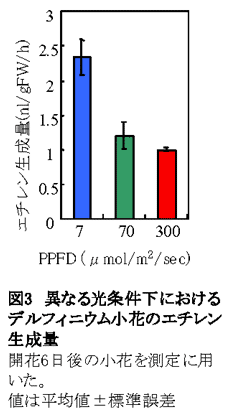 図3 異なる光条件下におけるデルフィニウム小花のエチレン生成量
