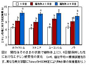 図2 開花後そのままの状態で植物体上に3, 6日間保持した花 におけるエチレン感受性の変化