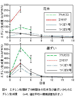 図4 エチレン処理終了8時間後の花弁及び雌ずいからのエ チレン生成量