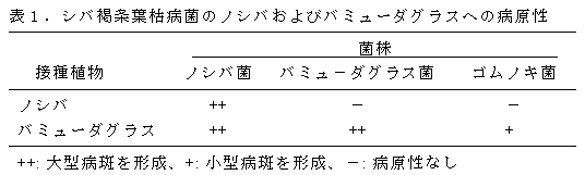 表1.シバ褐条葉枯病菌のノシバおよびバミューダグラスへの病原性