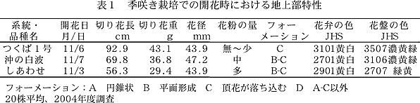 表1 季咲き栽培での開花時における地上部特性