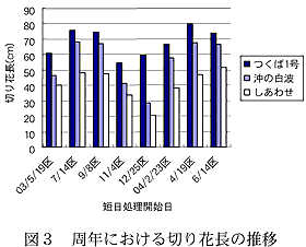 図3 周年における切り花長の推移