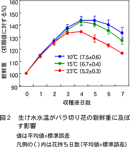 図2 生け水水温がバラ切り花の新鮮重に及ぼす影響