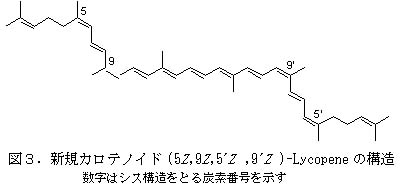 図3.新規カロテノイド (5Z,9Z,5 Z,9 Z)-Lycopene の構造