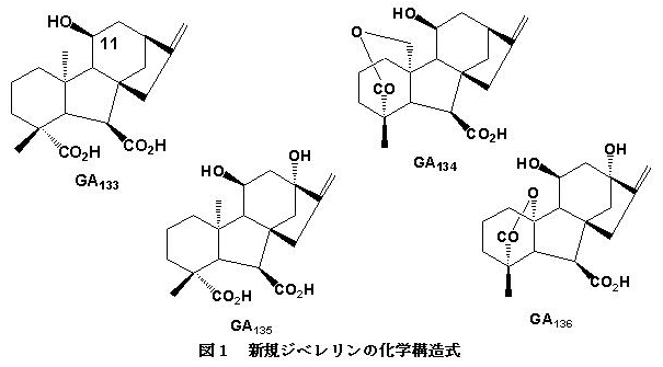 図1 新規ジベレリンの化学構造式