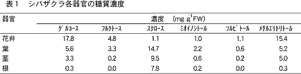 表1 シバザクラ各器官の糖質濃度