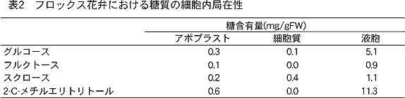 表2 フロックス花弁における糖質の細胞内局在性