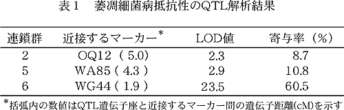 表1 萎凋細菌病抵抗性のQTL解析結果