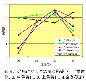 図4.発病に及ぼす温度の影響(1:下葉黄化、2: 中葉黄化、3: 上葉黄化、4:全身萎凋)