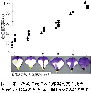 図1 着色指数で表された覆輪形質の変異と着色面積率の関係 ▲、●は異なる品種を示す。