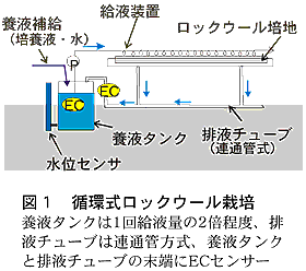 図1 循環式ロックウール栽培