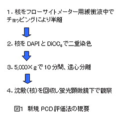 図1.新規PCD評価法の概要