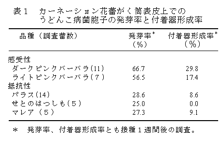 表1.カーネーション花蕾がく筒表皮上でのうどんこ病菌胞子の発芽率と付着器形成率