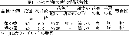 表1 ツバキ安濃4号の開花特性