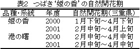 表2 ツバキ安濃4号の自然開花期