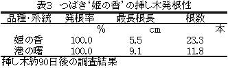 表3 ツバキ安濃4号の挿し木発根性