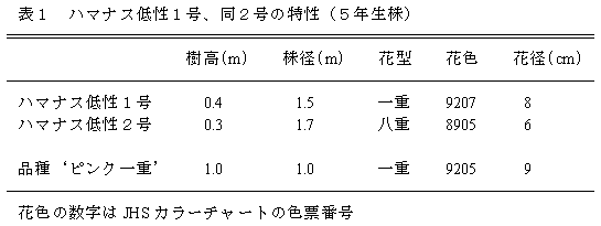 表1 ハマナス低性1号、同2号の特性