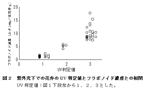 図2 紫外光下での花弁のUV 判定値とフラボノイド濃度との相関