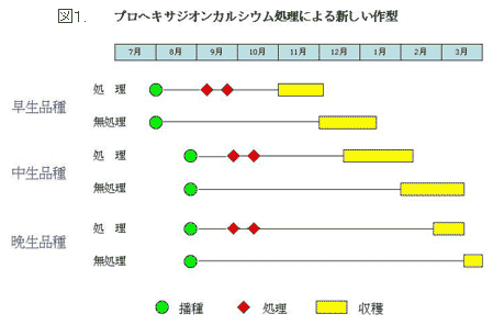 図1.プロヘキサジオンカルシウム処理による新しい作型