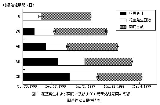 図1.花茎発生および開花に及ぼす20℃暗黒処理期間の影響