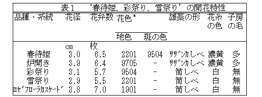 表1.‘春待姫’、‘彩祭り’、‘雪祭り’の開花特性