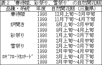 表2.‘春待姫’、‘彩祭り’、‘雪祭り’の自然開花期