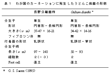 表1 わが国のカーネーションに発生したうどんこ病菌の形態