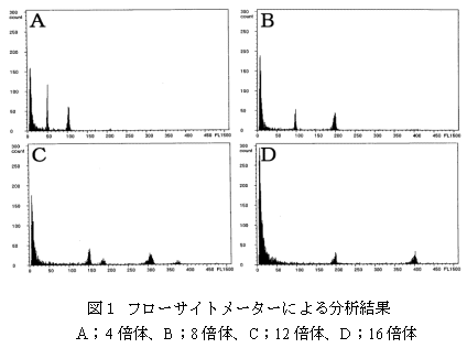 図1 フローサイトメーターによる分析結果