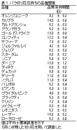 表1 バラ切り花花持ちの品種間差