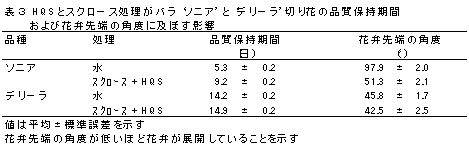 表3 H Q Sとスクロース処理がバラ‘ソニア’と‘デリーラ’切り花の品質保持期間および花弁先端の角度に及ぼす影響