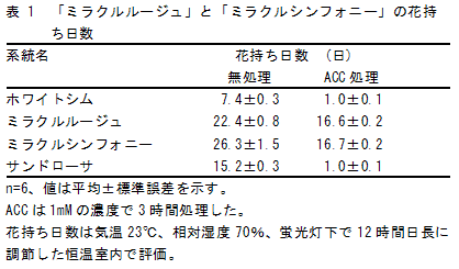 表1 「ミラクルルージュ」と「ミラクルシンフォニー」の花持ち日数