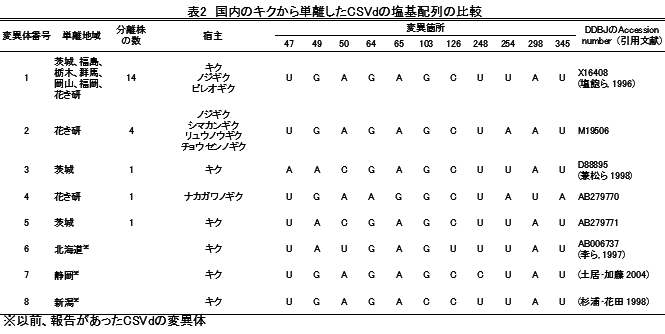 表2 国内のキクから単離したCSVdの塩基配列の比較