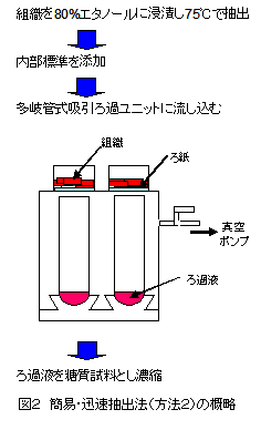 図2 簡易・迅速抽出法(方法2)の概略 