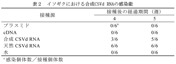 表2 イソギクにおける合成CSVd RNAの感染能