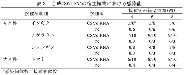 表3 合成CSVd RNAの宿主植物における感染能