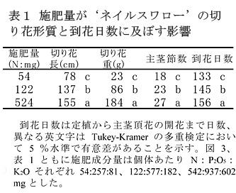 表1 施肥量が‘ネイルスワロー’の切り花形質と到花日数に及ぼす影響