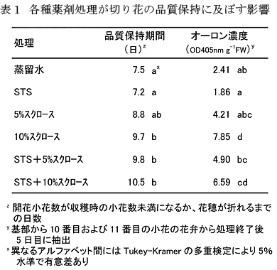 表1 各種薬剤処理が切り花の品質保持に及ぼす影響