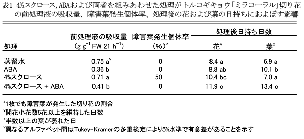 表1 4%スクロース,ABAおよび両者を組みあわせた処理がトルコギキョウ「ミラコーラル」切り花の前処理液の吸収量、障害葉発生個体率、処理後の花および葉の日持ちにおよぼす影響