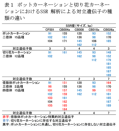 表1 ポットカーネーションと切り花カーネーションにおけるSSR解析による対立遺伝子の種類の違い