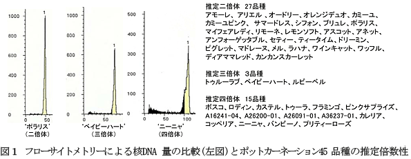 図1 フローサイトメトリーによる核DNA量の比較(左図)とポットカーネーション45品種の推定倍数性