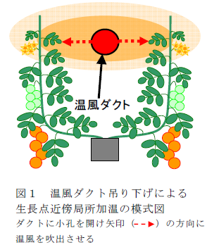 温風ダクト吊り下げによる 生長点近傍局所加温の模式図