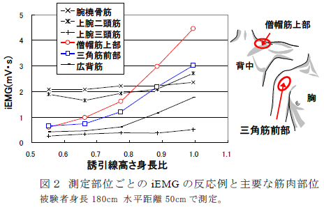 測定部位ごとのiEMG の反応例と主要な筋肉部位