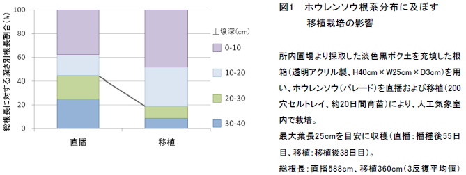 ホウレンソウ根系分布に及ぼす 移植栽培の影響