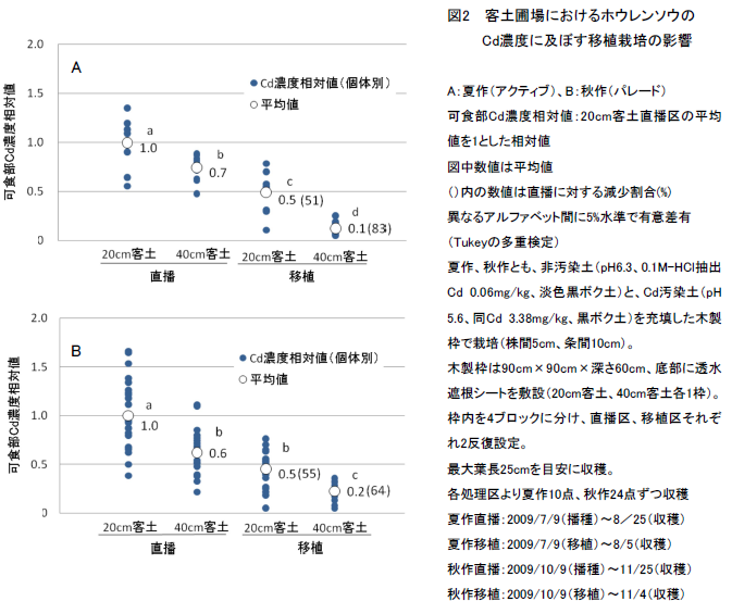 客土圃場におけるホウレンソウの Cd濃度に及ぼす移植栽培の影響