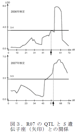 R07 のQTL とS 遺 伝子座(矢印)との関係
