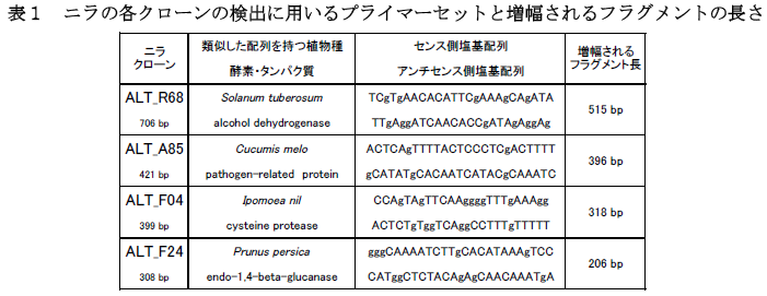 ニラの各クローンの検出に用いるプライマーセットと増幅されるフラグメントの長さ