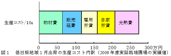 低日照地域1月出荷の生産コスト内訳